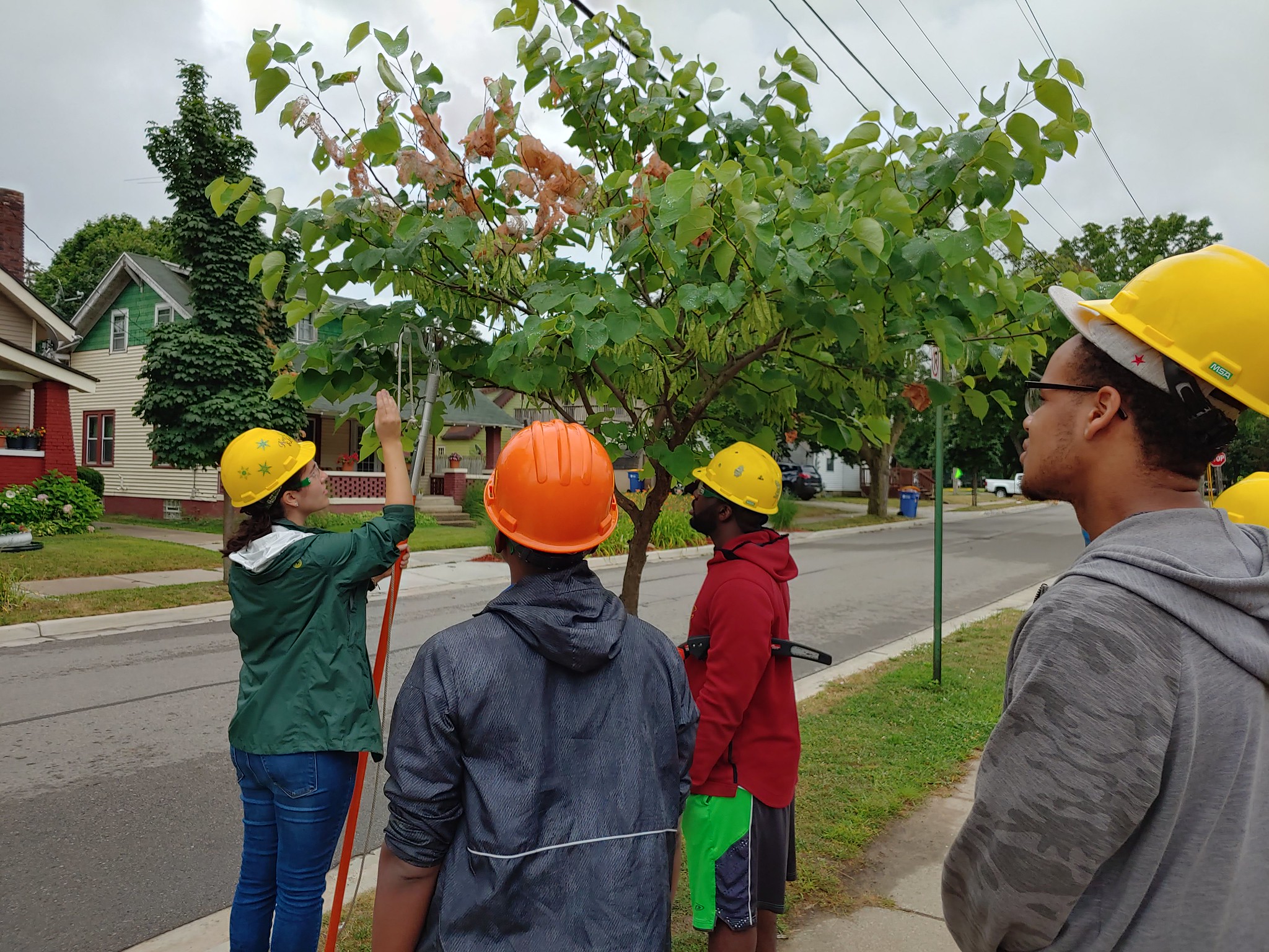 Tori Power, Friends of the Grand Rapids Parks, demonstrates pruning techniques to MSU Forestry students during the department&rsquo;s summer 2019 study away program. Pictured left to right: Tori Power, Davien Graham, Mario Singleton and Derrick Wade.